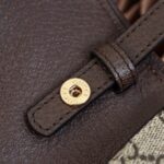 Gucci Blondie Shoulder Bag #699268
