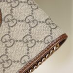 Gucci Horsebit 1955 Wallet With Chain #621892
