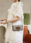 Gucci Horsebit 1955 Wallet With Chain #621892