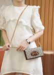 Gucci Horsebit 1955 Wallet With Chain #621892