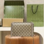 Dionysus GG Small Rectangular Bag #499623