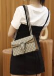 Dionysus GG Small Rectangular Bag #499623