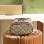 Ophidia Small GG Bucket Bag #550621