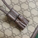 Ophidia Small GG Bucket Bag #550621