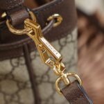 Ophidia Small GG Bucket Bag #550621