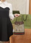 Ophidia Small GG Bucket Bag #550621