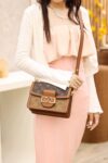 Dauphine Mini Shoulder Bag #M44580