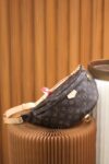 Bum Bag Shoulder Bag #M43644