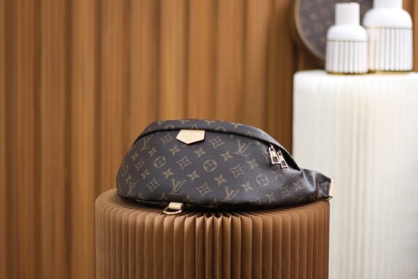Bum Bag Shoulder Bag #M43644