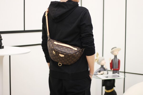Bum Bag Shoulder Bag #M43644