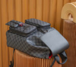 Backpacks Utility Damier Graphite Canvas #N40279