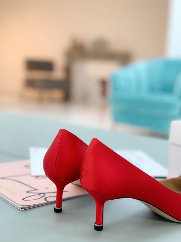 Manolo Blahnik - Hangisi