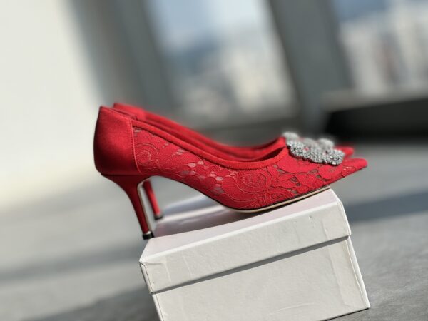 Manolo Blahnik - Hangisi Lace