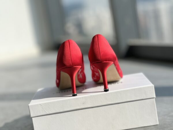 Manolo Blahnik - Hangisi Lace
