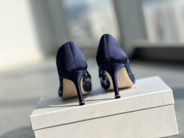 Manolo Blahnik - Hangisi Lace
