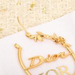 Dior - Earrings