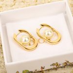 Dior - Earrings