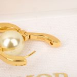 Dior - Earrings