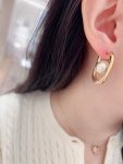 Dior - Earrings
