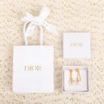 Dior - Earrings