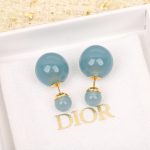 Dior - Earrings