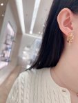 Dior - Earrings