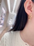 Dior - Earrings