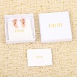 Dior - Earrings