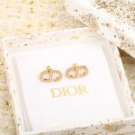 Dior - Earrings