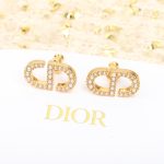 Dior - Earrings
