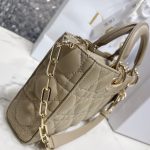 Dior - Medium Lady D-Joy Bag