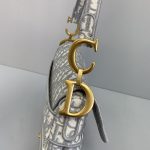 Dior - Saddle Bag