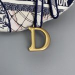 Dior - Saddle Bag