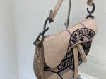 Dior - Saddle Bag